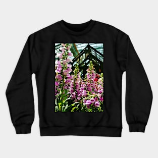 Pink Foxglove Framing a Glass Greenhouse Crewneck Sweatshirt